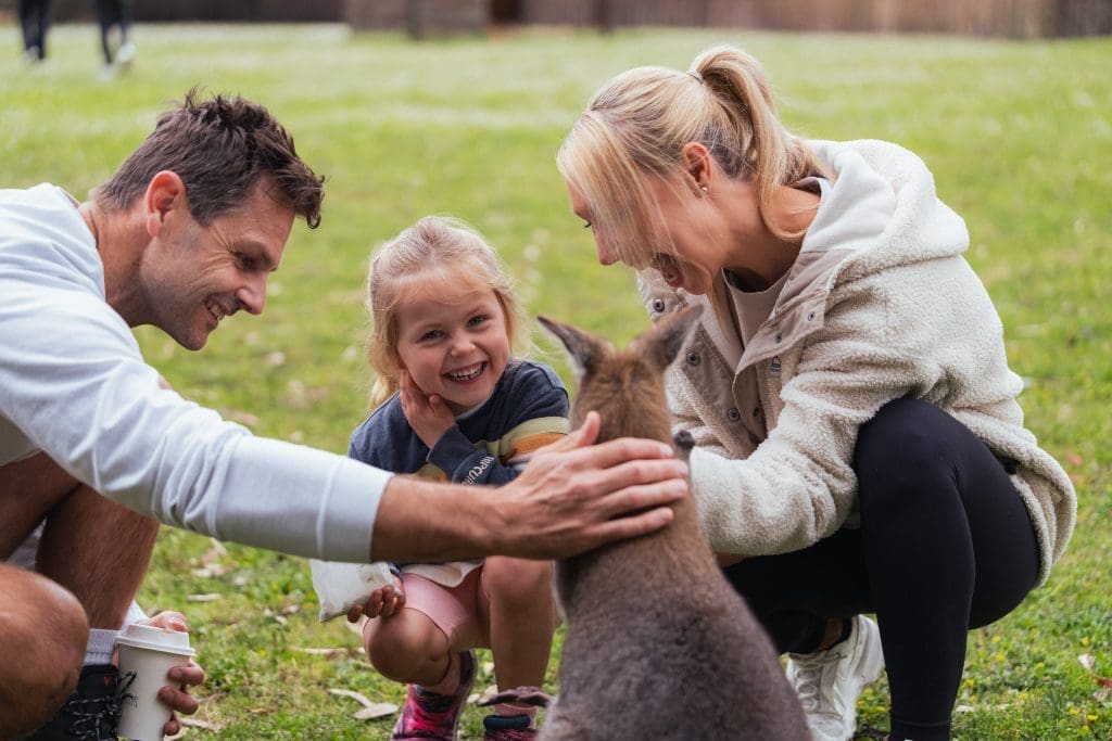 Petting area