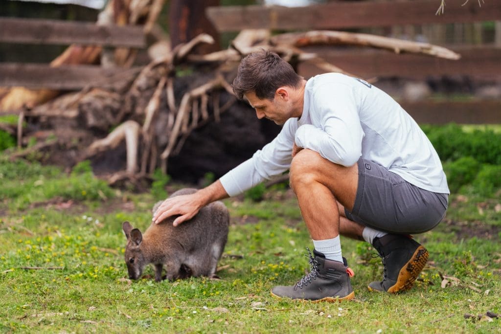 Petting area