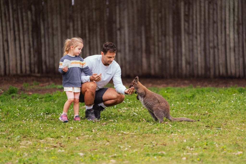 Petting area