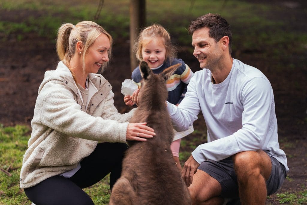 Petting area