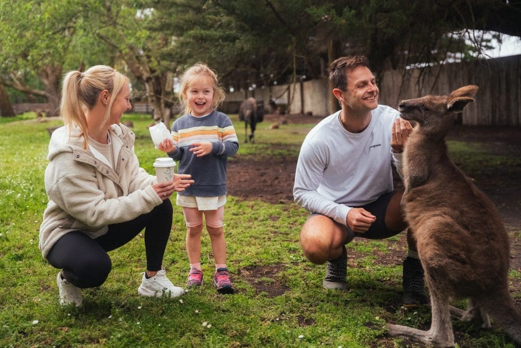Petting area