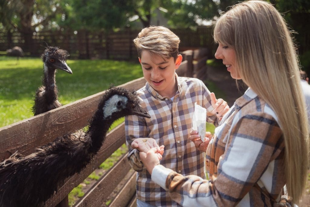 Petting area