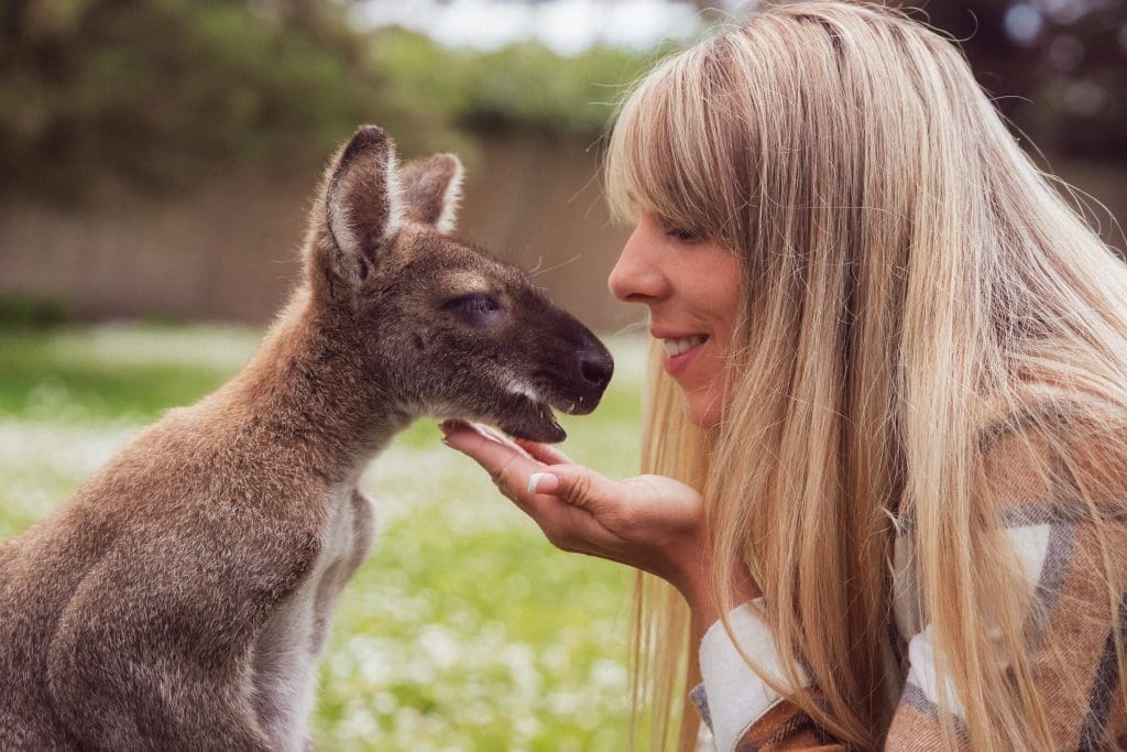 Petting area